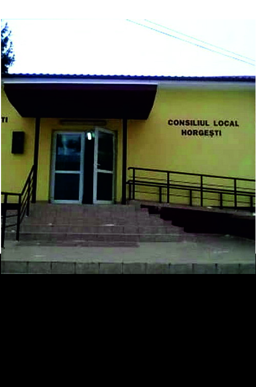 HORGESTI - Sedinta Consiliului Local din 29 iunie FILMARE EXCLUSIV TV